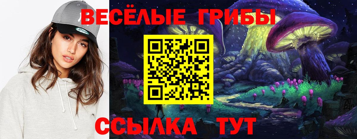 Псилоцибиновые грибы ЛСД  Вход с VPN  Сыктывкар  Псилоцибиновые грибы MAGIC MUSHROOMS 